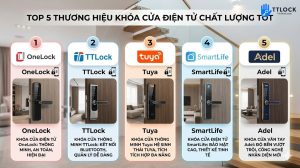 TOP 5 Thuong hieu Khoa cua van tay Nha Trang noi tieng